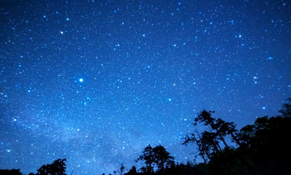 新たな門出は星空の下で - コニカミノルタの“プラネタリウム入社式”