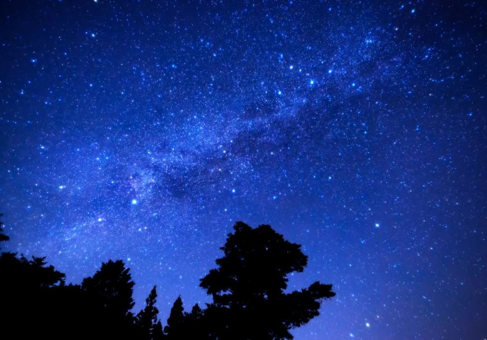 新たな門出は星空の下で - コニカミノルタの“プラネタリウム入社式”