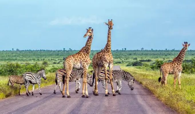 〈２０２６・日本の課題〉官民一体で課題解決を！